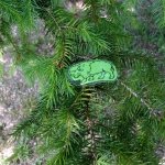 phoca_thumb_m_indini  42 Fotogalerie
